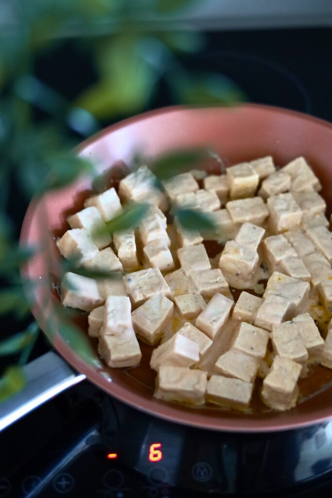 Vegan-Butter-Tofu-de-Manteiga-Indiano-Tofu-Makhani - 1