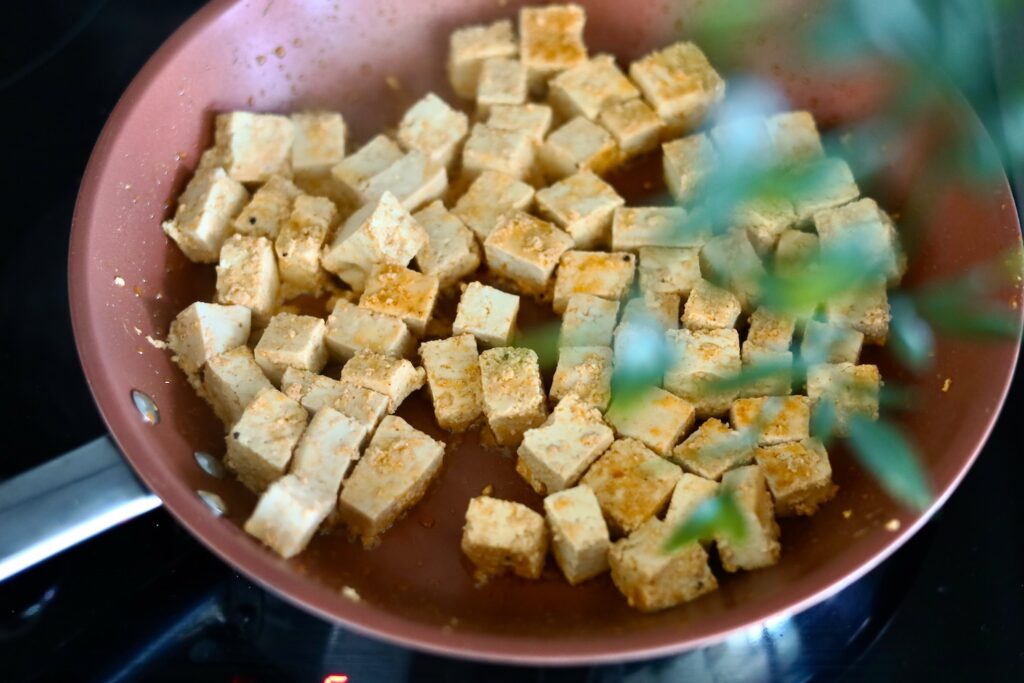 Vegan-Butter-Tofu-de-Manteiga-Indiano-Tofu-Makhani - 3